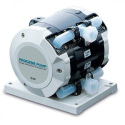 Corrosion Resistant Process Pump - PAF Corrosion Resistant Process Pump - PAF