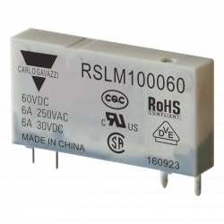 RSLM100060