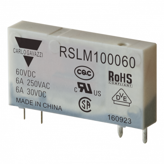 RSLM100060