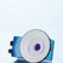 Inspector = VSPI, Inspector Viewer repair lump-sum