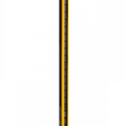 C4P-EX03031C00