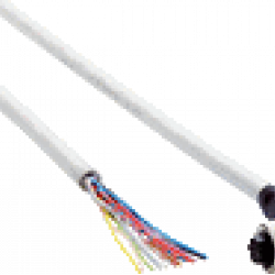 DOL-1212-W05MAS02 DOL-1212-W05MAS02