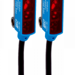 GSE2S-F1311 GSE2S-F1311