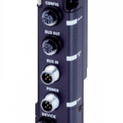 FBM-P11