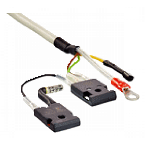 Cable