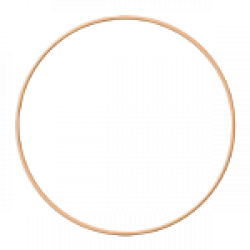 O-ring O-ring