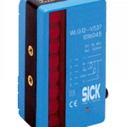 WLG12-G137