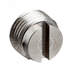 Screw Screw