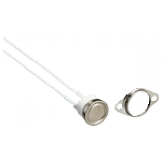 Thermal circuit breaker