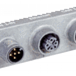 Cloning plug
