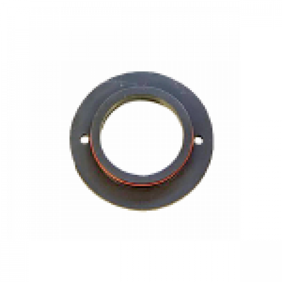 Windshield insert