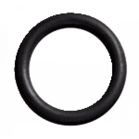 O-ring