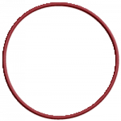O-ring