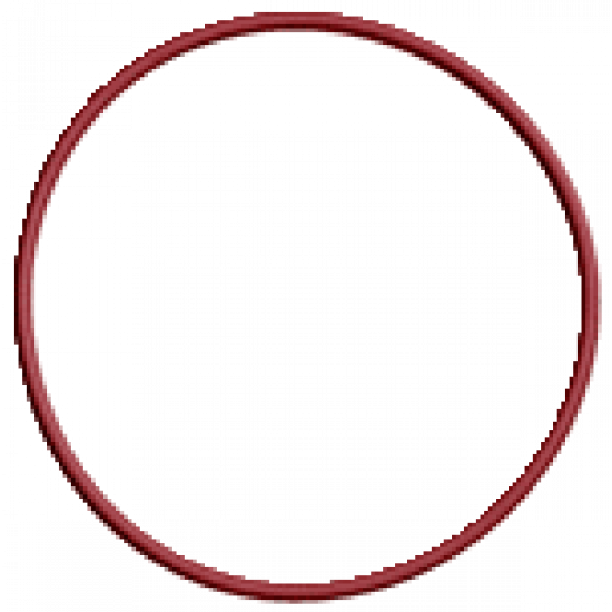 O-ring