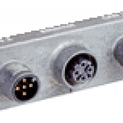 Cloning plug