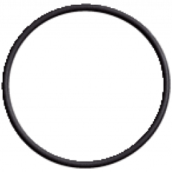 O-ring O-ring