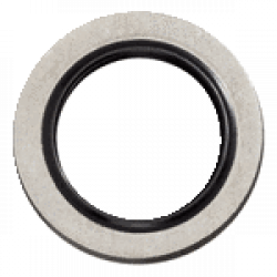 Sealing ring