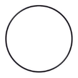 O-ring
