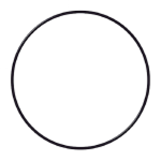 O-ring