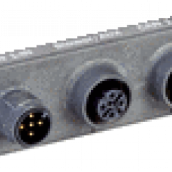 Cloning plug