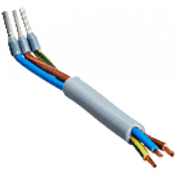 Cable