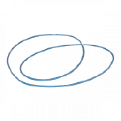 O-ring