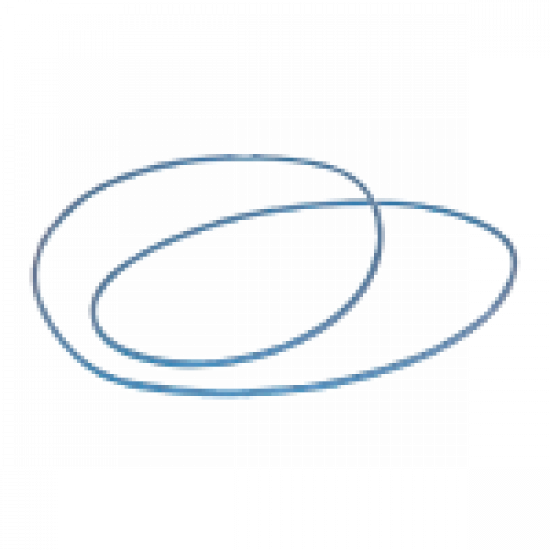 O-ring