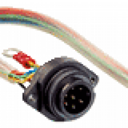 Cable