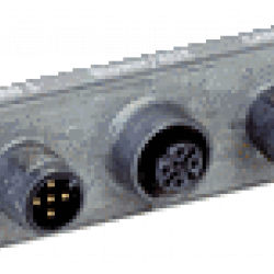 Cloning plug Cloning plug