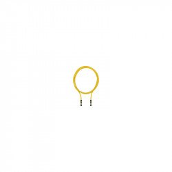 SN CAB RJ45s RJ45s, 1m SN CAB RJ45s RJ45s, 1m