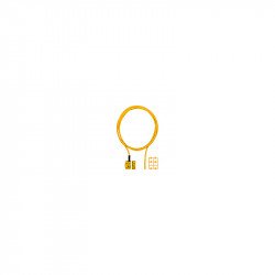 PSEN cs3.1a /PSEN cs3.1 1unit PSEN cs3.1a /PSEN cs3.1 1unit