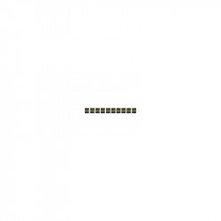 Spring terminals PNOZ mmc2p,mml1p 10 pcs Spring terminals PNOZ mmc2p,mml1p 10 pcs