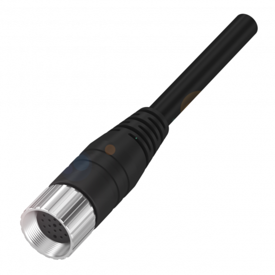 BCC M61L-0000-10-022-PX0LP4-050