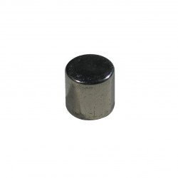 Magnet DM 10-10 NDFEB