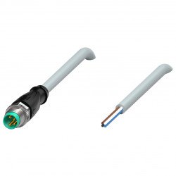 Cable connector V31S-GM-0,3M-PUR Cable connector V31S-GM-0,3M-PUR