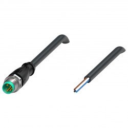 Cable connector V31S-GM-BK0,3M-PUR-U Cable connector V31S-GM-BK0,3M-PUR-U
