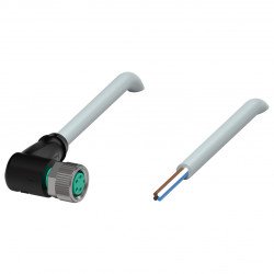 Female cordset V31-WM-10M-PVC