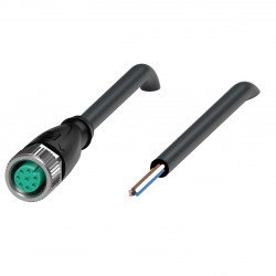 Female cordset V19-G-BK15M-PUR-U-Y70176414