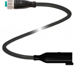 Adapter cable V1-G-BK0,3M-PUR-O1-DT4P-G